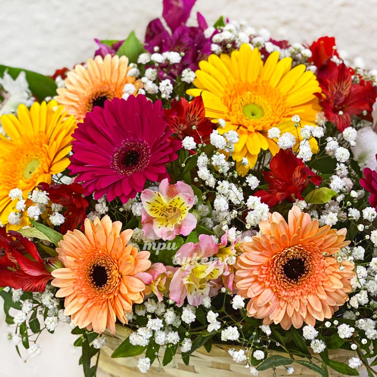 Корзина разноцветных гербер (крупный план)