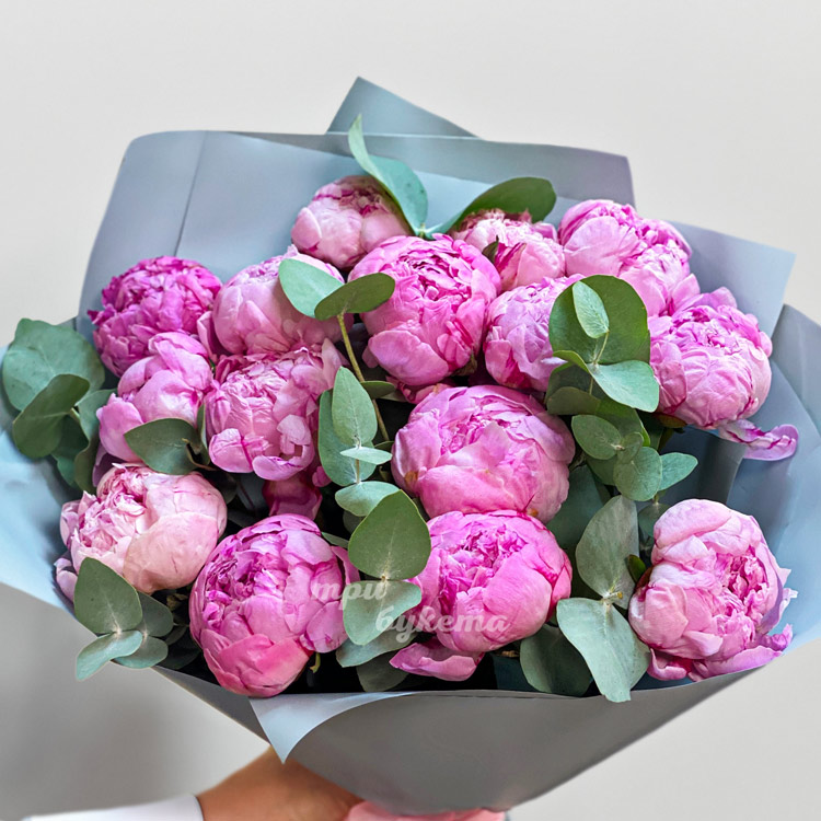 Букет из 15 розовых пионов (крупный план)