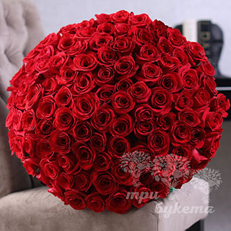 101 красная роза (Premium) 60 см.