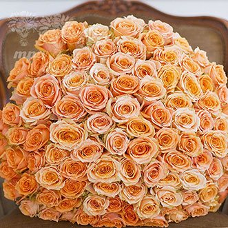 101 оранжевая роза (Premium) 70 см.