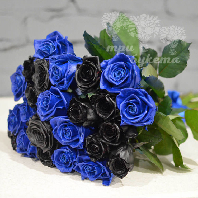 Купить букет из черных и синих роз в Саранске
 Черные Розы Букет