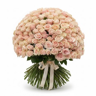 Букет из 301 кремовой розы