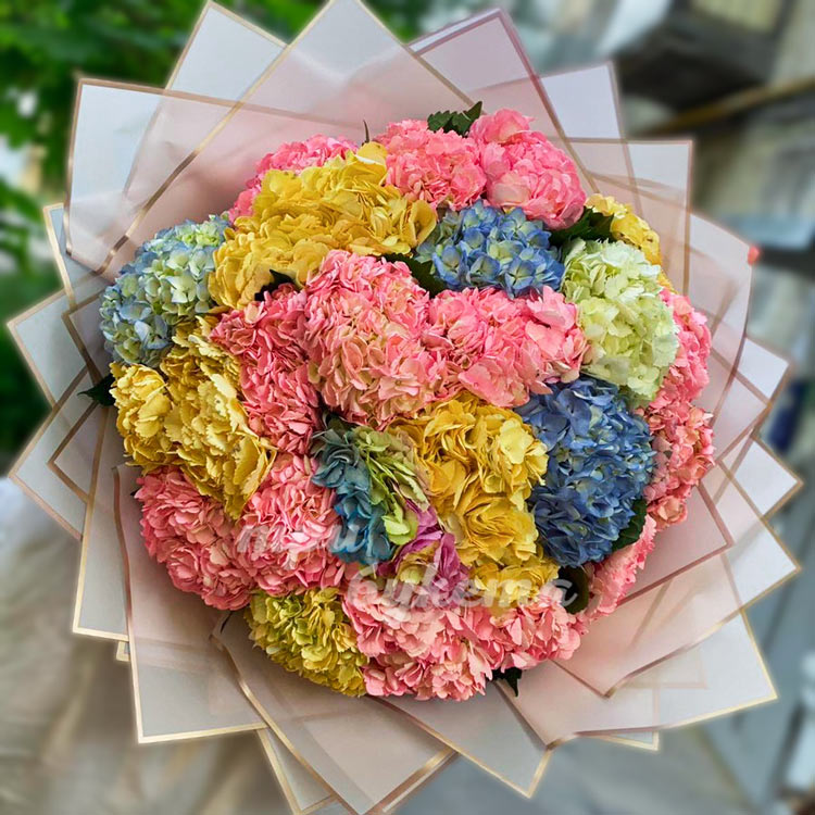 Букет из 25 цветных гортензий (вид сверху)